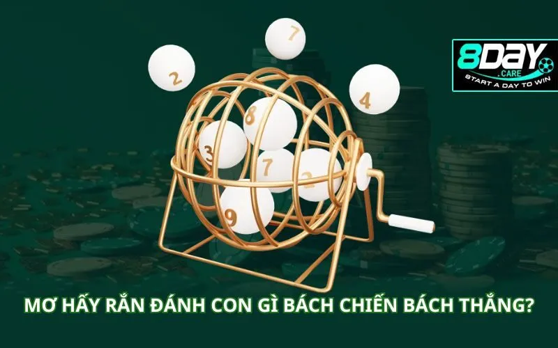 mo-hay-ran-danh-con-gi-bach-chien-bach-thang